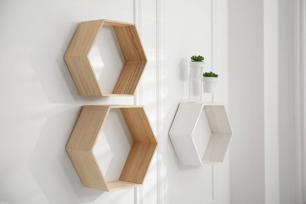 Honeycomb shaped shelves with plants on white wall - Photo, image