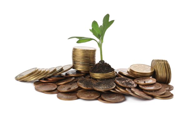 Pile of coins and green plant on white background. Investment concept - Foto, Imagem