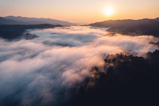Szcenikus kilátás a hegyekre, reggeli köd és felhők a hegyi erdőben - Fotó, kép