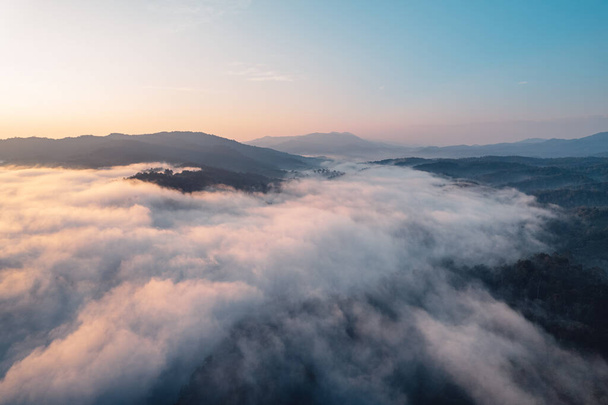 Vista panoramica delle montagne, nebbia mattutina e nuvole nella foresta collinare - Foto, immagini