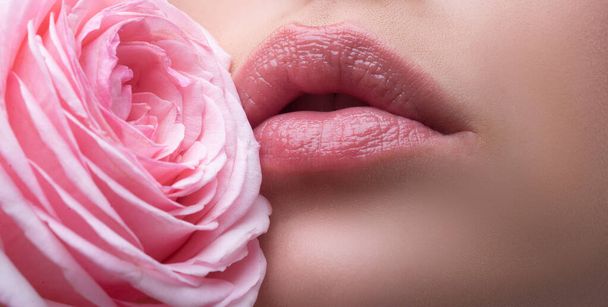 Close-up sexy woman natural lips and pink rose. Banner of lips with lipstick closeup. Beautiful woman lips with rose - Photo, Image