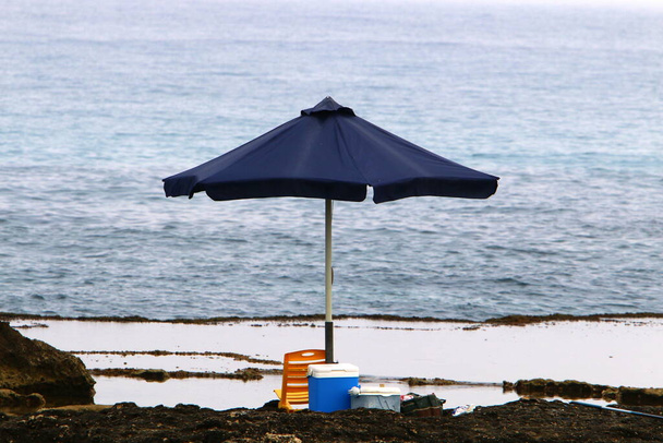 Paraplu in het stadspark vlakbij de zee. - Foto, afbeelding