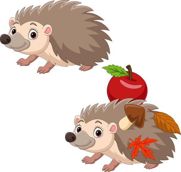 Vector illustratie van Cartoon twee egel met rode appel, herfst bladeren en paddestoel - Vector, afbeelding