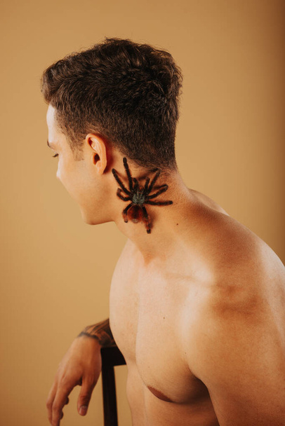 Knappe man in de studio met tarantula in zijn nek - Foto, afbeelding