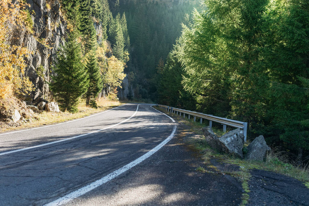 road high in forested mountains, travel to mountains - Fotoğraf, Görsel
