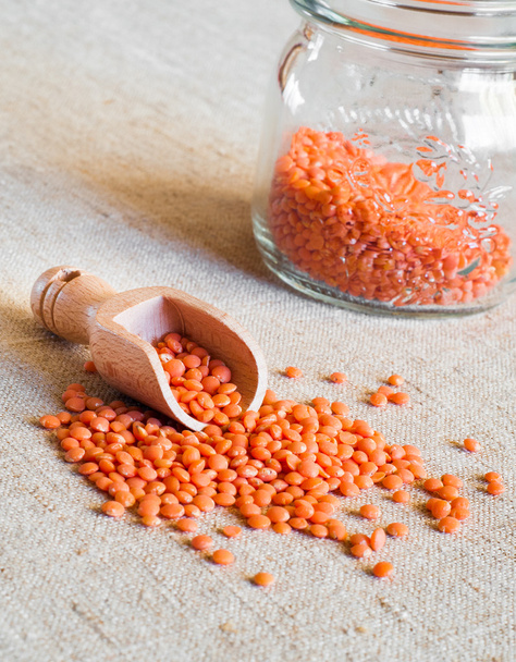 Dried red lentils - Photo, Image