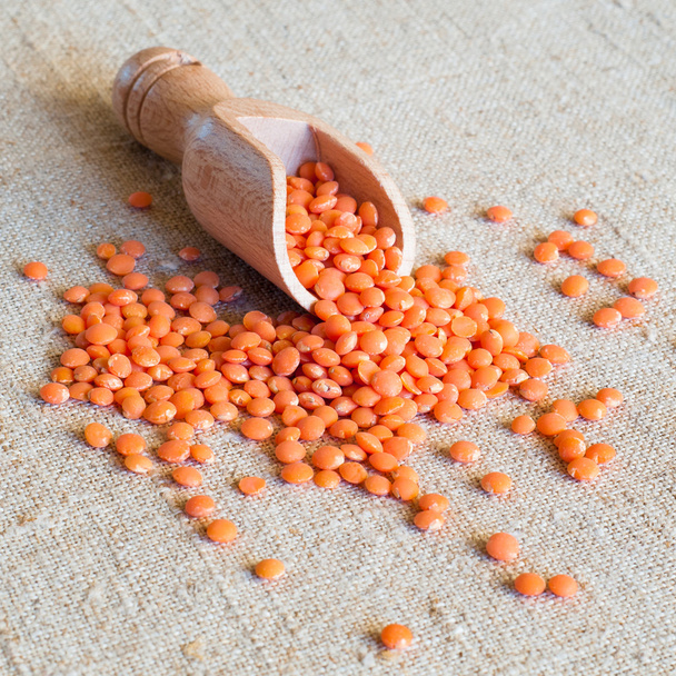 Dried red lentils - Photo, Image