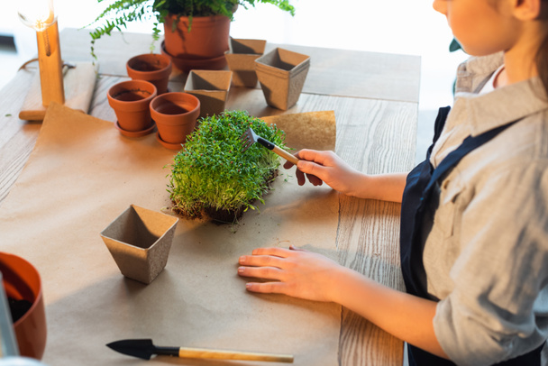 Cropped view of girl holding rake near microgreen plant and flowerpots on table  - Fotoğraf, Görsel