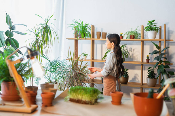 Side view tizenéves lány kötényben megható növény otthon  - Fotó, kép