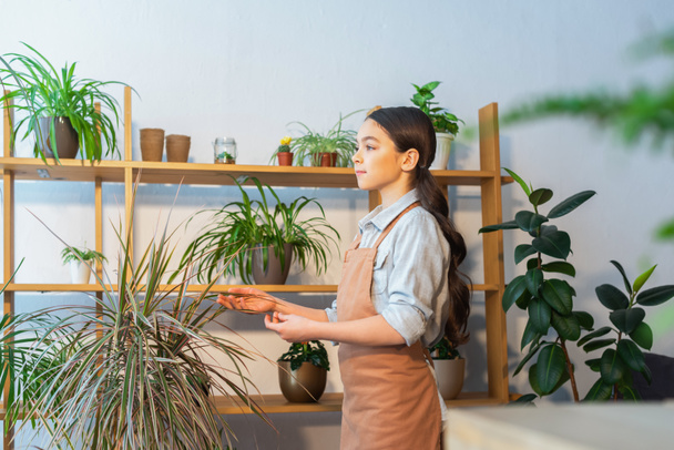 Preteen child in apron touching plant and looking away at home  - Photo, Image