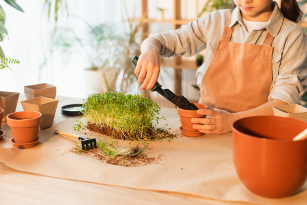 Cropped view of girl pouring soil in flowerpot near microgreen and rake  - 写真・画像