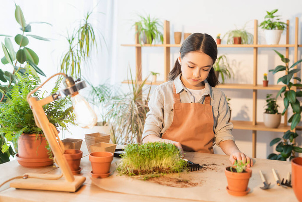 Preteen girl holding rake near plants and flowerpots on table at home  - Foto, imagen