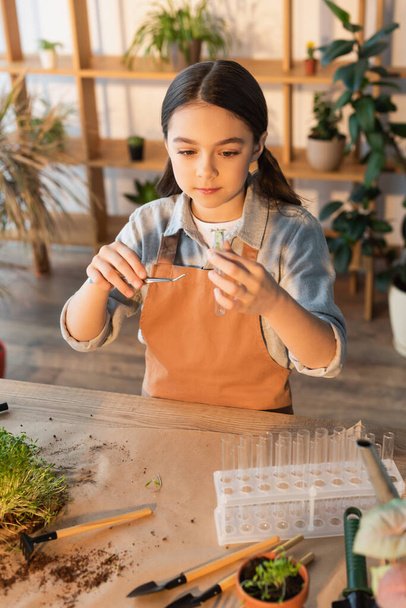 Girl in apron holding tweezers and test tube near plants at home  - Foto, immagini