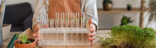 Cropped view of kid holding glass test tubes with plants at home, banner  - Fotoğraf, Görsel