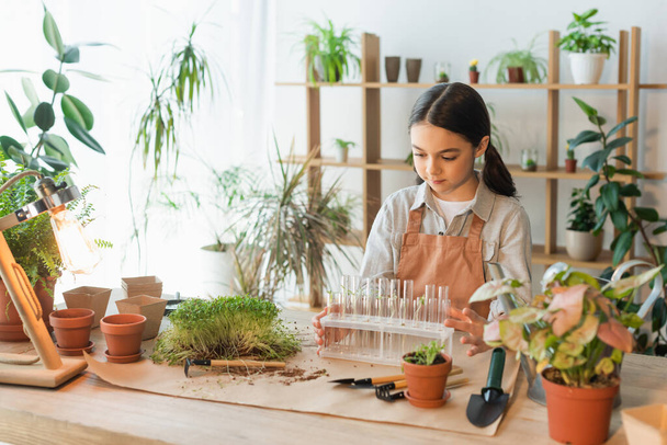Preteen child in apron holding test tubes near plants and flowerpots at home  - Photo, Image