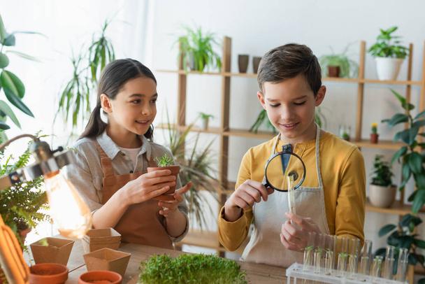 Preteen friends holding plant and magnifying glass near test tubes at home  - Photo, Image