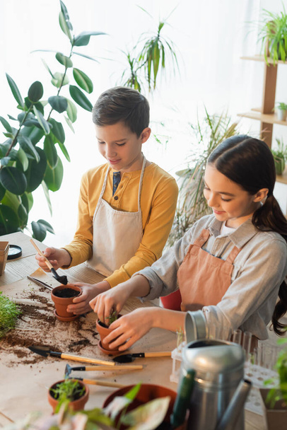 Enfants souriants plantant microgreen près des éprouvettes floues et arrosoir à la maison  - Photo, image
