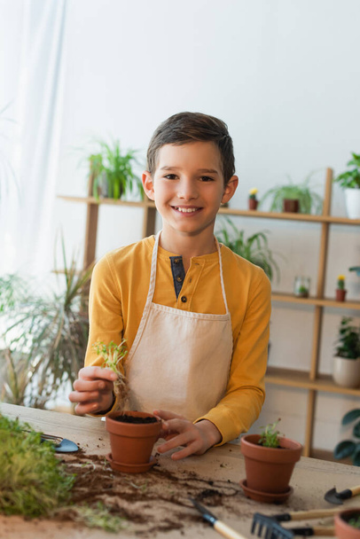 Smiling boy in apron planting microgreen near blurred flowerpots at home  - Foto, Imagem
