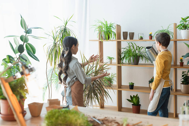 Niños preadolescentes en delantales regando plantas en casa  - Foto, Imagen