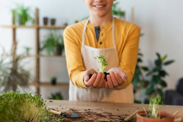 Cropped view of smiling boy holding microgreen in soil near gardening tools on table  - 写真・画像