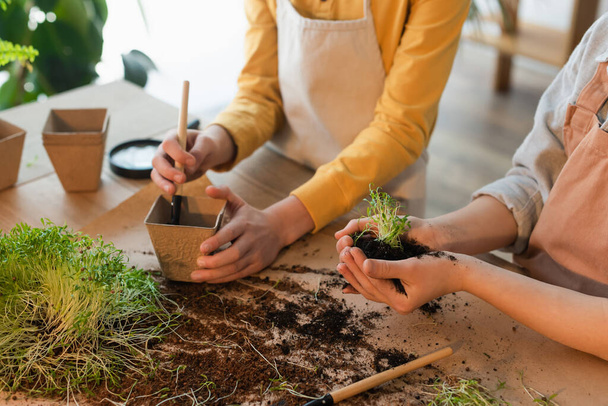 Cropped view of girl holding soil and microgreen near friend with flowerpot at home  - Foto, afbeelding