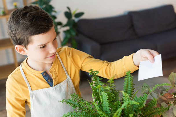 自宅で植物の近くに付箋を保持エプロンの男の子  - 写真・画像