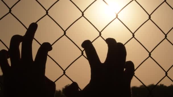 Homem mãos agarrando uma cerca de arame ao pôr do sol - Filmagem, Vídeo