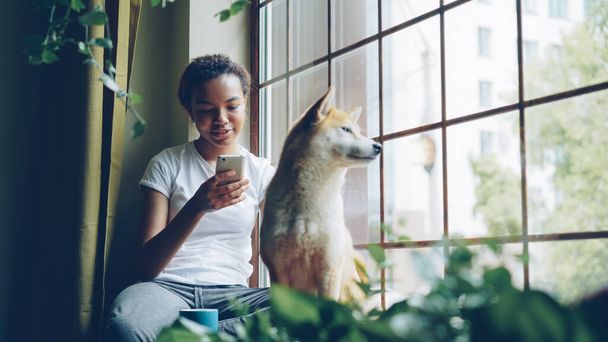 Pretty young woman is sitting on window sill and using smartphone while her cute calm shiba inu dog is sitting near her enjoying view. Leisure, animals and houses concept. - Foto, immagini