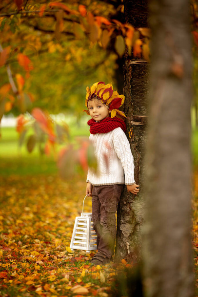 Adorable little child, blond boy with crown from leaves in park on autumn day, sunny evening - Foto, afbeelding