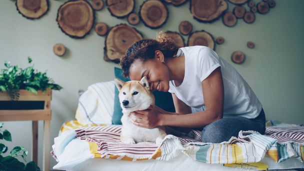 Attractive African American girl is stroking cute shiba inu dog lying on bed at home in beautifully decorated bedroom. Animals, young people and interior concept. - Fotoğraf, Görsel
