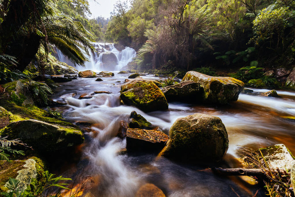 Krajina populárních Halls Falls s dostatkem vody na teplý jarní den v Pyengana, Tasmánie, Austrálie - Fotografie, Obrázek