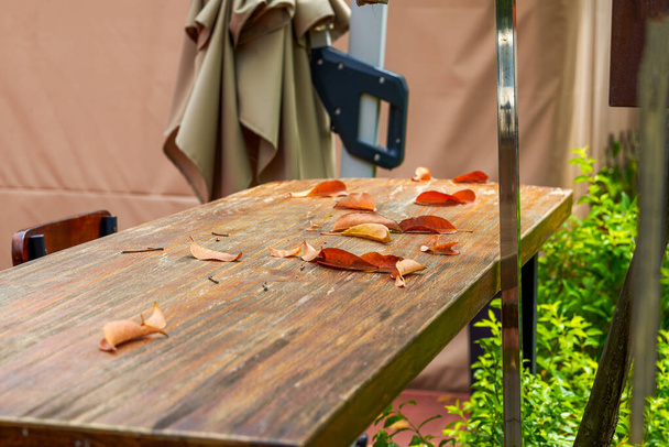 Ξύλινο τραπέζι με πεσμένα φύλλα στον εξωτερικό κήπο - Φωτογραφία, εικόνα