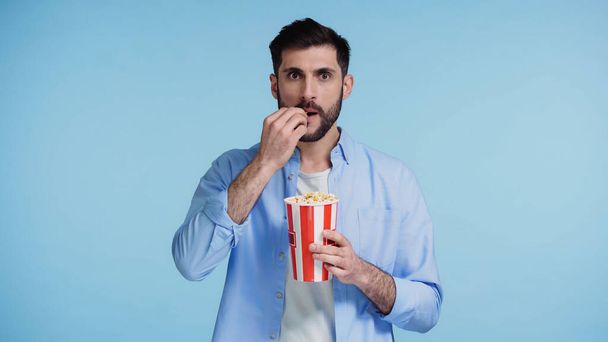 bearded man holding bucket while eating tasty popcorn isolated on blue - Foto, Imagen