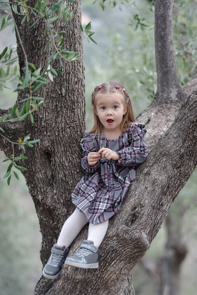 A child girl sitting on a olive tree - Foto, afbeelding