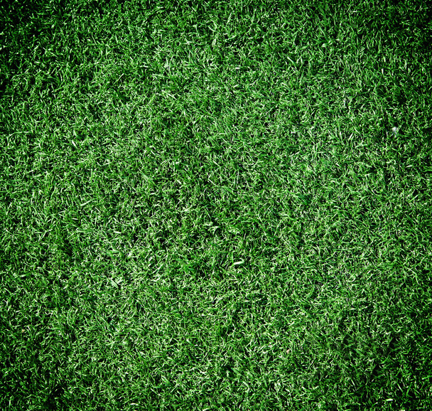 green grass texture for background - Foto, imagen