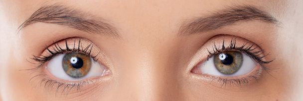 Los ojos son las ventanas del alma. Primer plano de los ojos de una joven mujer sobre un fondo gris - Foto, Imagen