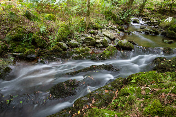 Lange Belichtung eines Wasserfalls auf dem Horner Water Fluss, der durch die Horner Wälder in Somerset fließt - Foto, Bild