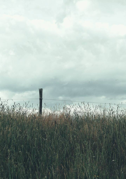 Низкий угол обзора забора, стоящего на поле с высокой травой  - Фото, изображение