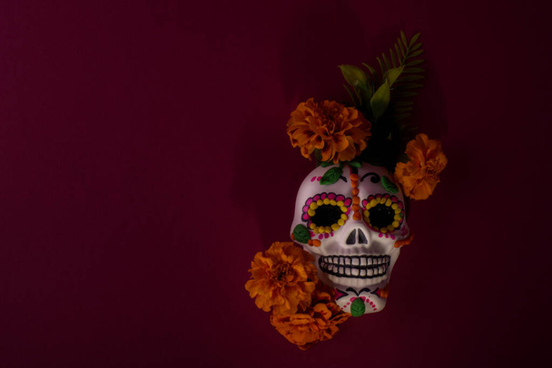 Dia De Los Muertos nebo Den mrtvých oslavy pozadí. Nízká klíčová fotografie Scull zdobené Marigold květiny. Tradiční mexická slavnost. - Fotografie, Obrázek
