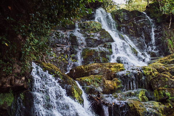 Torc Waterfall - Killarney National Park, co Kerry, Irelannd. High quality photo - Фото, изображение