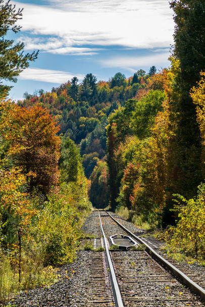 Empty train track leads into the forest in the autumn with fall colors in Vermont - Fotoğraf, Görsel