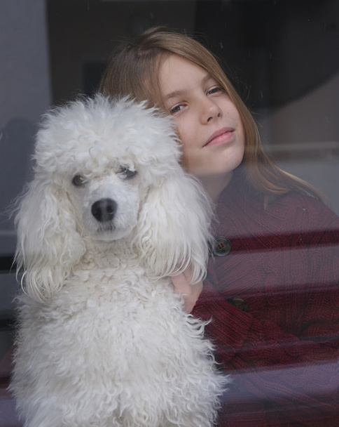 Girl and dog - Fotografie, Obrázek