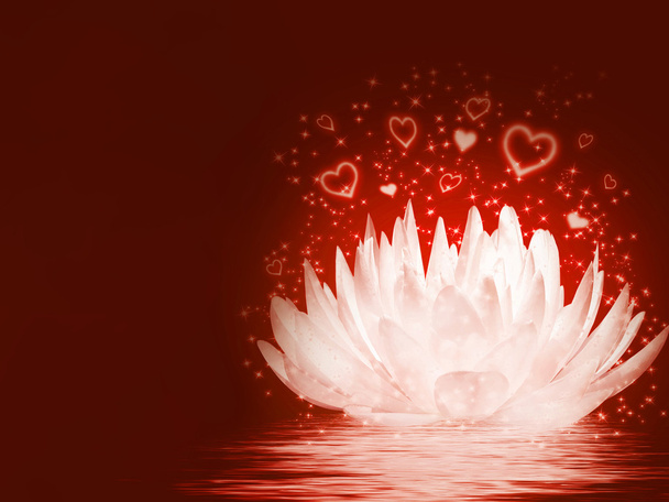 magische Lotusblume - Foto, Bild