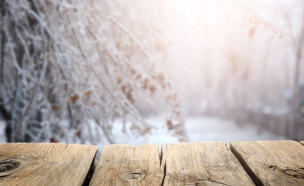 雪の日の冬の公園の空白のテーブル - 写真・画像