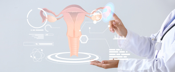Gynécologue et organes reproducteurs féminins sur écran virtuel sur fond de lumière - Photo, image