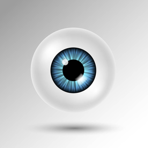 Vector 3D globo ocular humano con iris azul y sombra aislada sobre fondo blanco - Vector, Imagen