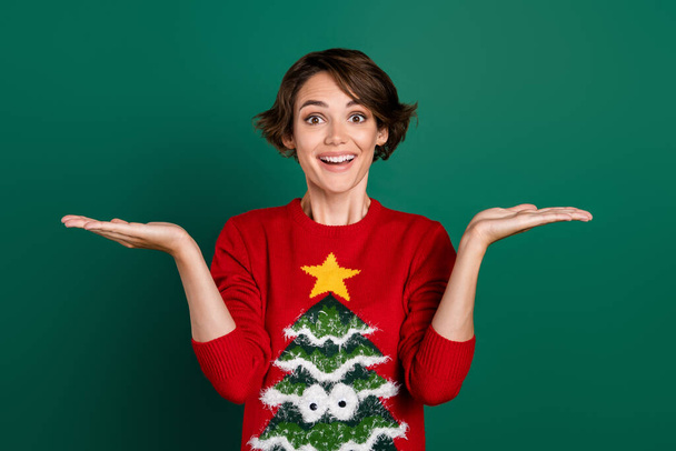Photo of impressed brown hair millennial lady hold empty space wear red tree sweater isolated on green color background. - 写真・画像