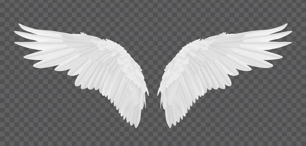 Vector realistische engel vleugels geïsoleerd op transparante achtergrond - Vector, afbeelding