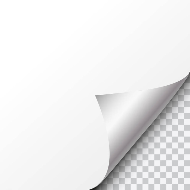 Vektorový stříbrný stočený papírový roh s průhledným pozadím a prostorem pro text - Vektor, obrázek