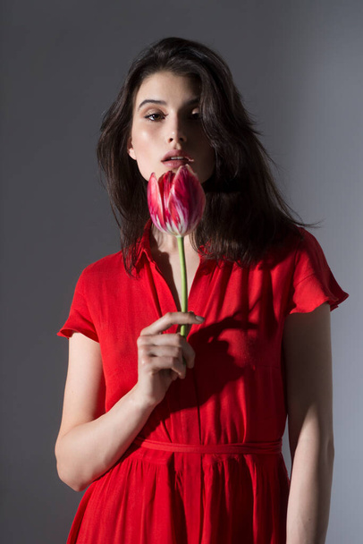 Front view of an attractive young woman in red dress holding a bouquet of red tulips and smells, grey background. - Foto, Imagem